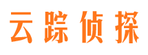 大关市调查公司